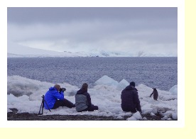 Antarctica06597