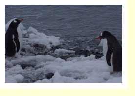 Antarctica06614