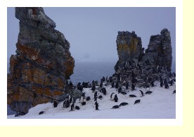Antarctica06626