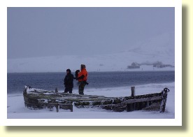 Antarctica06683