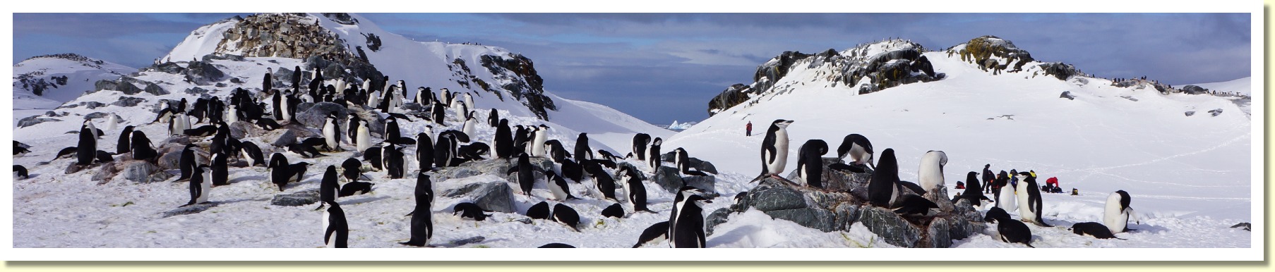 Antarctica068272