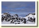 Antarctica06830