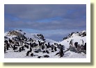 Antarctica06830