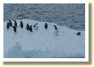 Antarctica21573