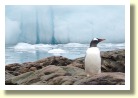 Antarctica21651