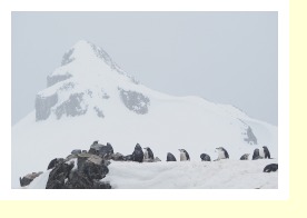 Antarctica2248