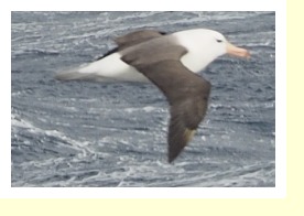 Antarctica280