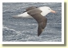 Antarctica280