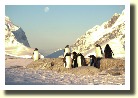 Falklands21668