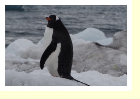 Antarctica2206